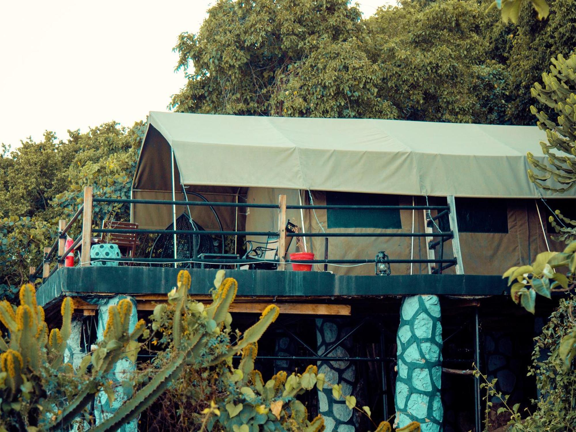 Wag Hill & Lodge
